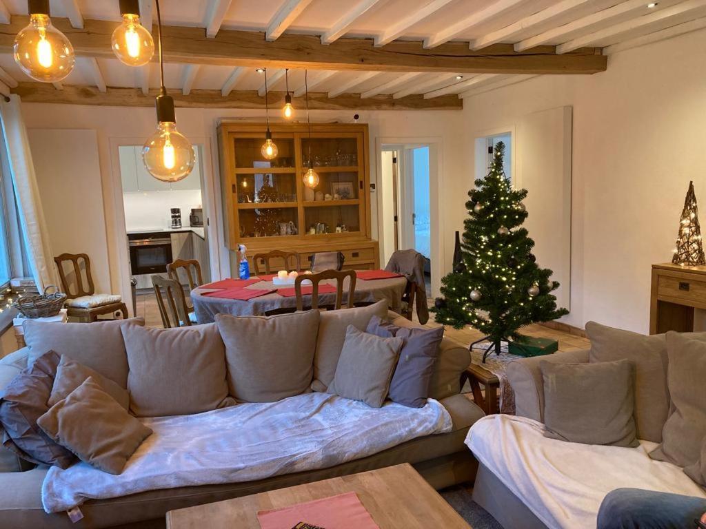 Maison L' Ambleve エワイユ エクステリア 写真